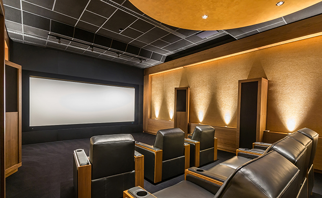 Chicagoland Home Theaters by Luxury Elements